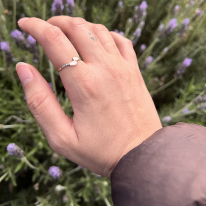 Shell Ring