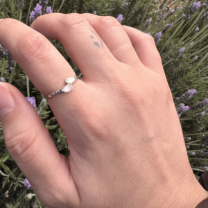 Shell Ring